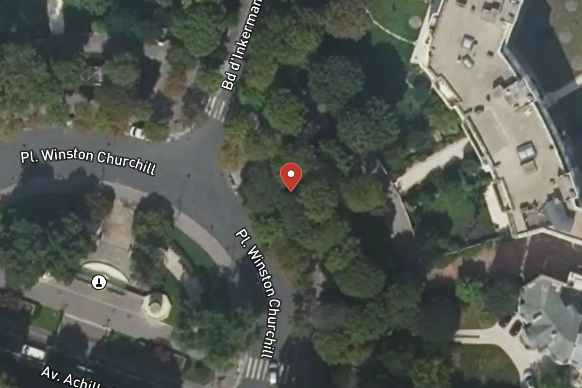 Vue satellite — Place Winston Churchill