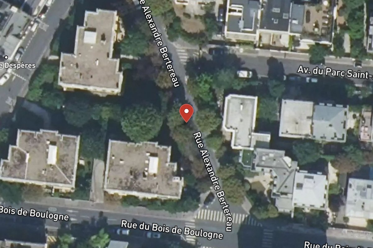 Vue satellite — Rue Alexandre Bertereau