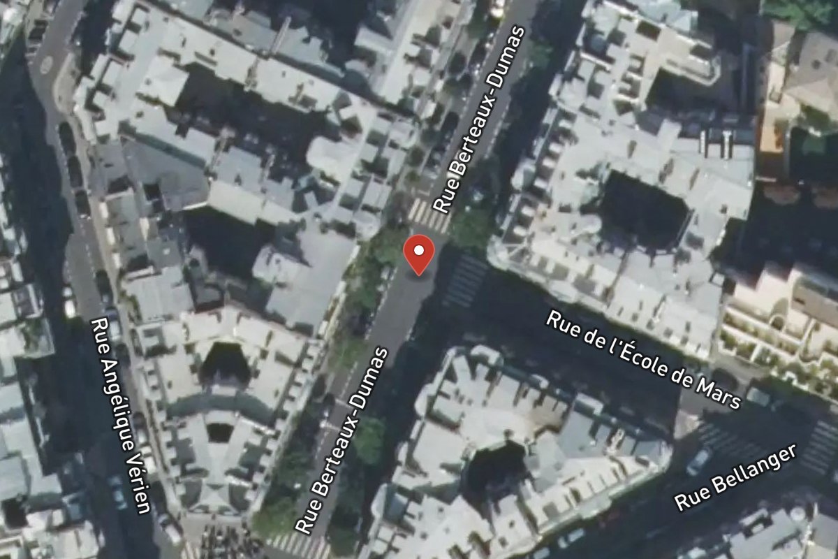 Vue satellite — Rue Berteaux Dumas