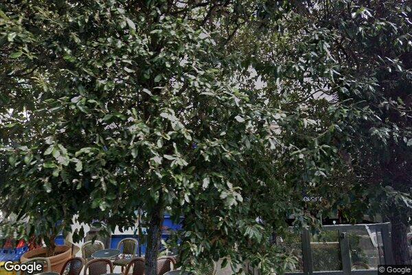 Vue Google Street View du 13 Rue de Longchamp